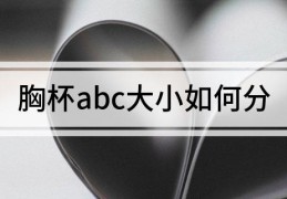 胸杯abc大小如何分