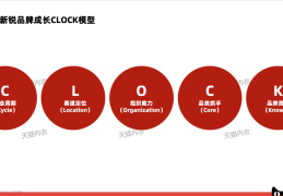 不止悦己：2万字深度详解后流量时代的内衣新锐20品牌成长方