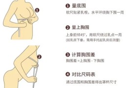 abcd罩杯分别是多大(徒手判断女生胸围A到D触摸体验)