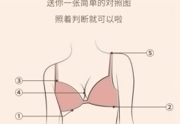 都市丽人柔心杯不空杯不跑杯穿戴更安心