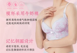 湖北东方形体美运动内衣商城加盟生产厂家