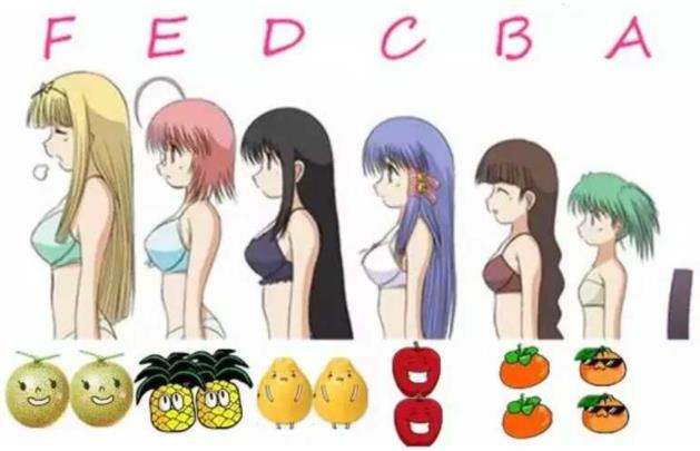 小学生穿罩罩吗？小学女生的罩罩是怎样的？[图]