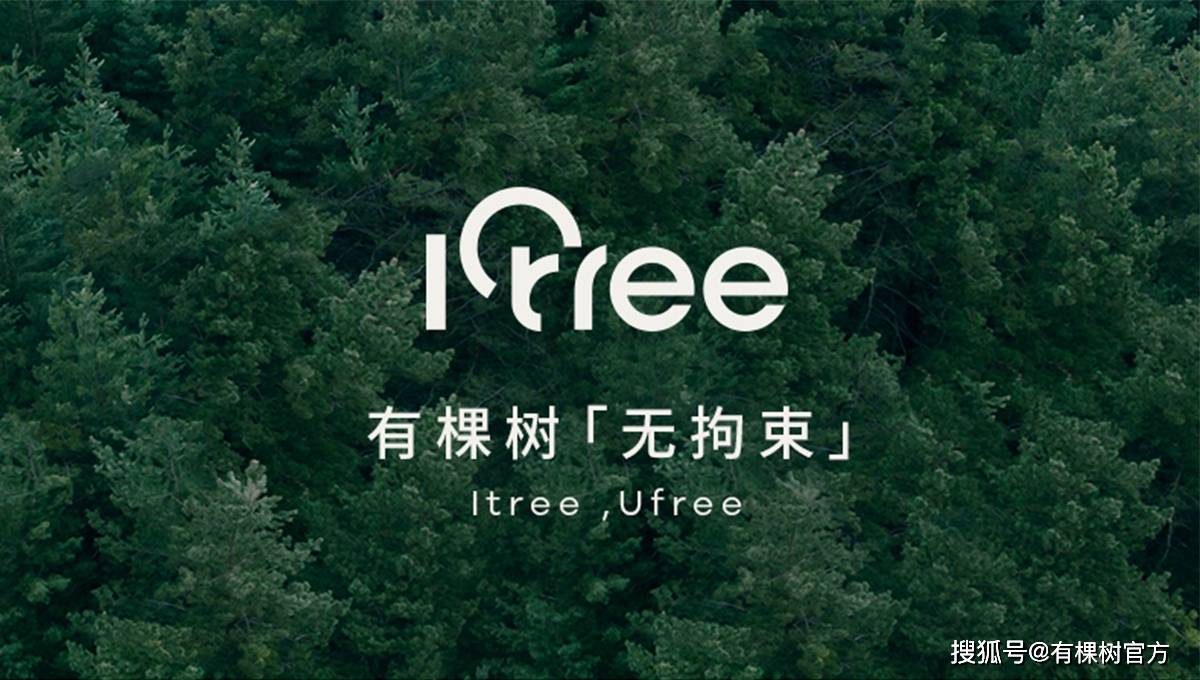 有棵树-未来内衣企业品牌独角兽
