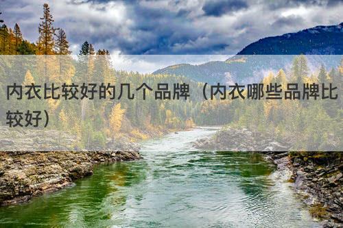 内衣比较好的几个品牌（内衣哪些品牌比较好）