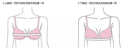 胸围怎么区分abc？