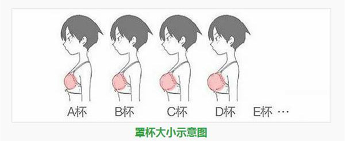 罩杯abcd怎么计算？